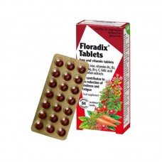 Floradix 铁元 有机天然补铁片 84片